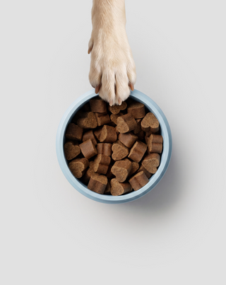 Probiotics for dogs karma uzupełniająca dla psów na trawienie, układ pokarmowy i odporność Oggo 180 g - 5