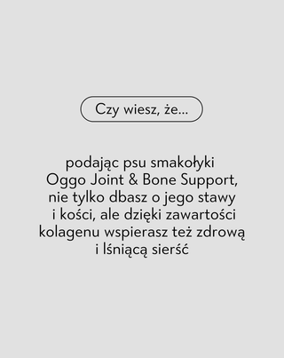 Joint & Bone Support karma uzupełniająca dla psów na stawy i kości Oggo 180 g - 4